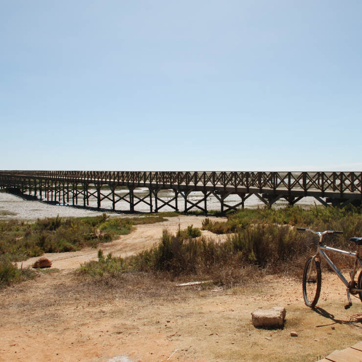 PARQUE_NATURAL_DA_RIA_FORMOSA.png